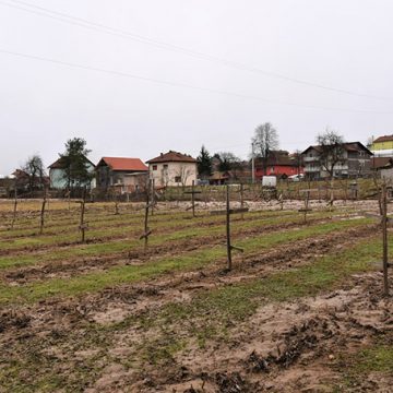 Izvještaj o analizi tla sa poplavljenih područja u MZ Radovlje