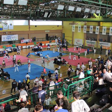 Održano 3. Međunarodno taekwondo prvenstvo “Bosna Visoko Open 2019”