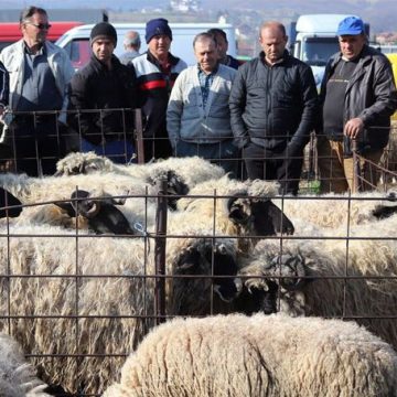 Stočna pijaca u Visokom decenijama je mjesto trgovine, dobrog pečenja i zabave