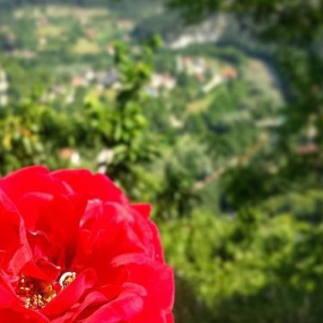 HADŽIBEG: Dženet na dunjaluku