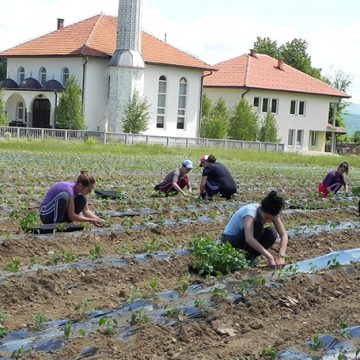 DŽEMAT MAUROVIĆI: Maksimalan razvoj i iskorištavanje vakufske zemlje za proizvodnju hrane