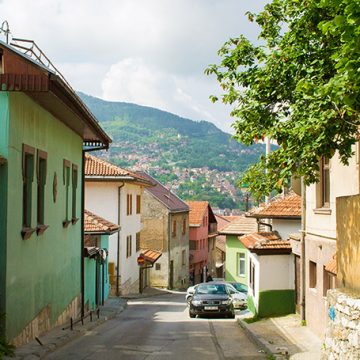 HADŽIBEG: Ters