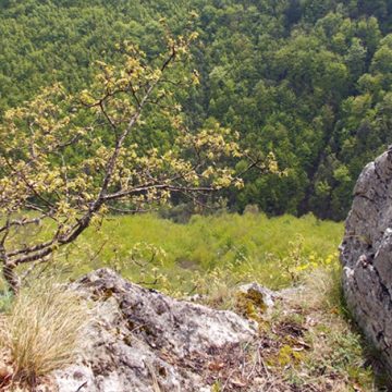 SEID ZIMIĆ: Jedno sunce, a dva života