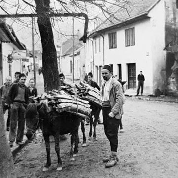 Izuzetan opis visočkih tabaka iz 1901. godine (II dio)