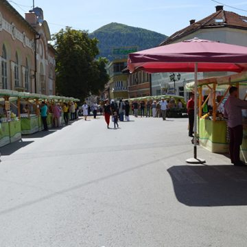 Danas od 11 sati u Visokom sajam „Dani organske proizvodnje”