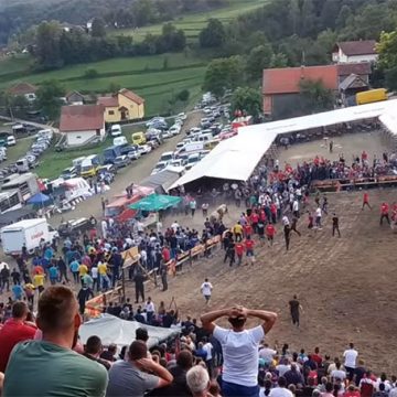 VIDEO: Panika na koridi u Goduši, bikovi probili zaštitnu ogradu