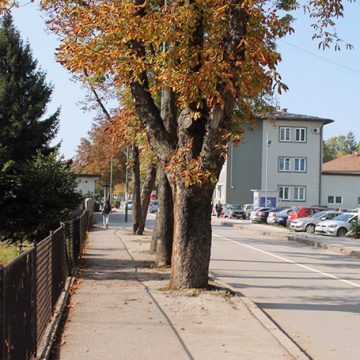 Bilten aktivnosti Policijske stanice Visoko za 3. oktobar 2019. godine