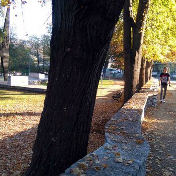 ZLATNE BOJE JESENI U VISOČKOJ DOLINI