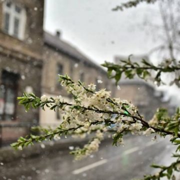 SUSNJEŽICA U UTORAK U VEČERNJIM SATIMA