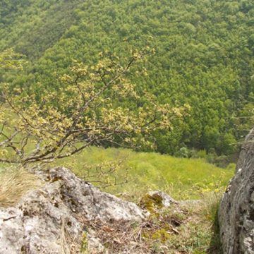 Seid Zimić: PISMO PRIJATELJU NA ODREĐENO VRIJEME /III/