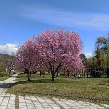 NAKON SUNCA ponovo stiže kiša, pljuskovi i gmrljavina