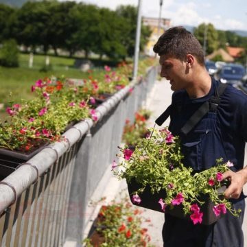 110 žardinjera/110 poruka ljubavi poklonjeno Kožarskom mostu: 25. jula svjedočit ćemo rezultatu prekrasne akcije