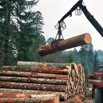 U BiH ove godine smanjena proizvodnja i prodaja šumskih sortimenata