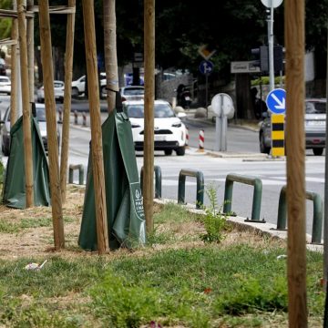 Napravili iskorak u načinu zalijevanja i uštedjeli novac: ‘Odjenuli‘ stabla u vreće