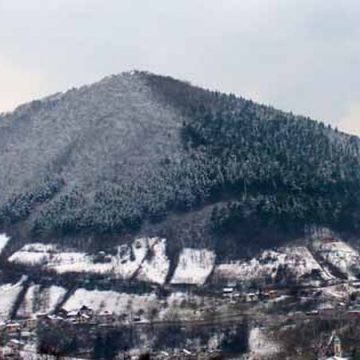 MOŽDA NOVI JANUAR DONOSI SPAS…