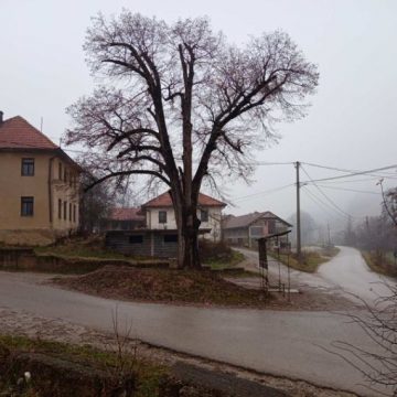 NESTAJE MIRIS LIPOVOG CVATA IZ CENTRA RADOVLJA