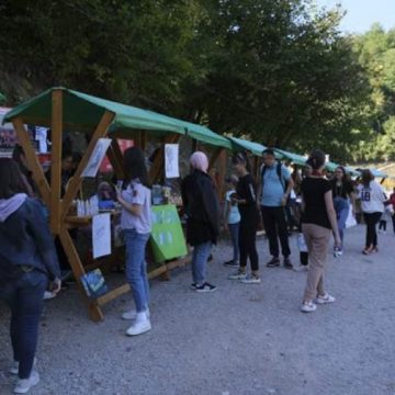 POZIV IZLAGAČIMA za učešće na Festivalu i sajmu povodom ljetnog Solsticija